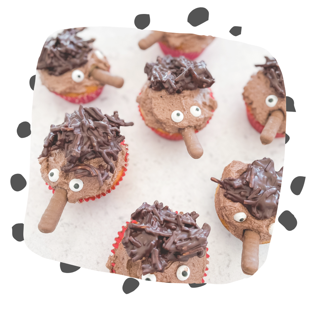 Free Kids Activity – Echidna Cupcakes
