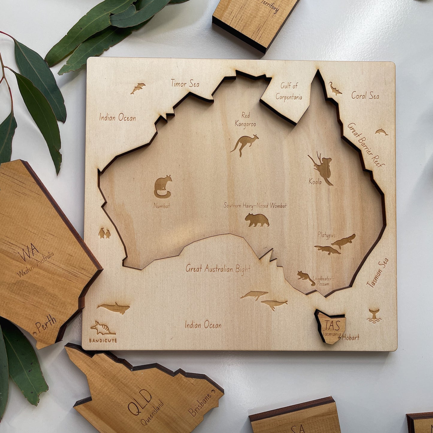 Wooden Australia Puzzle - Educational Map with Australian Animals-Bandicute