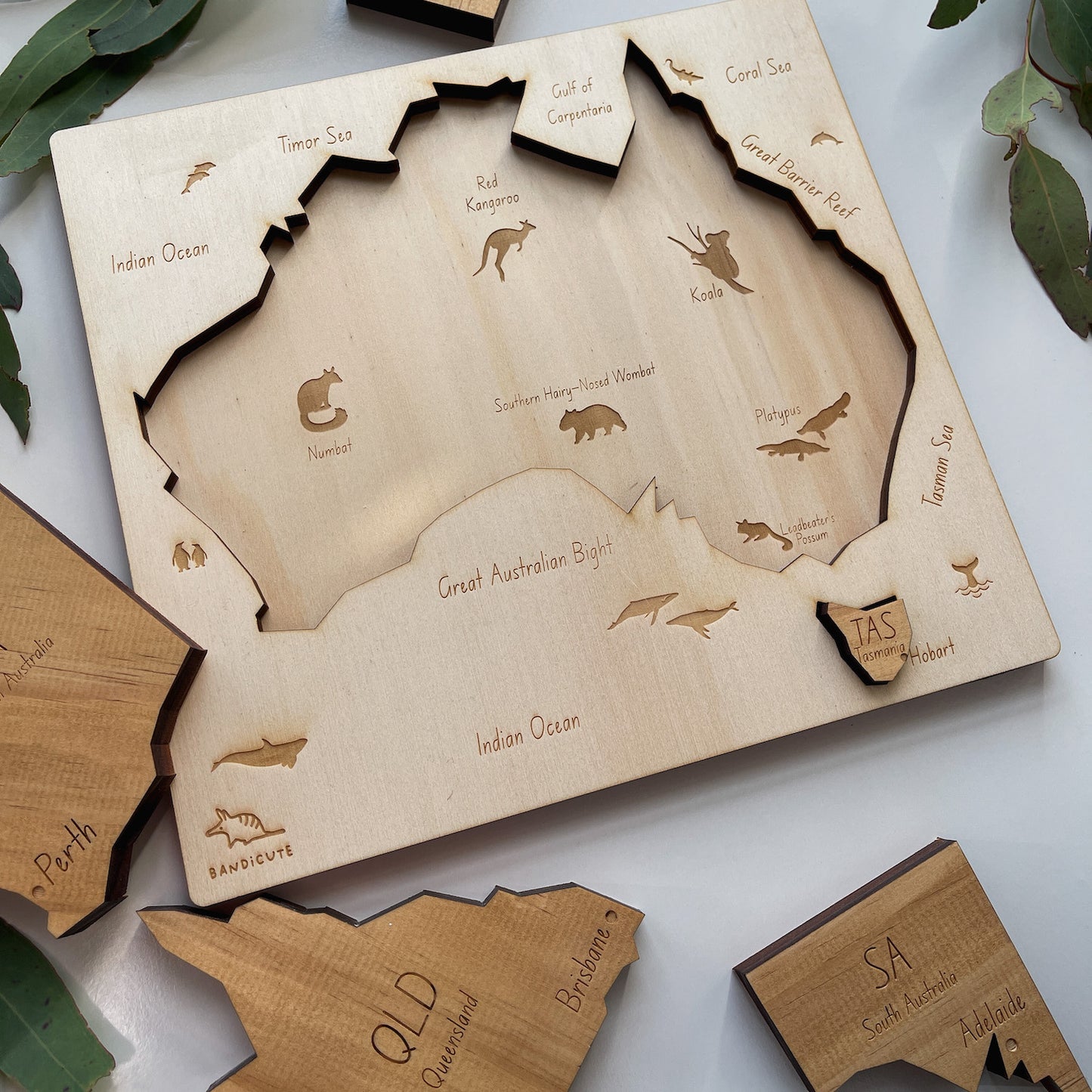 Wooden Australia Puzzle - Educational Map with Australian Animals-Bandicute