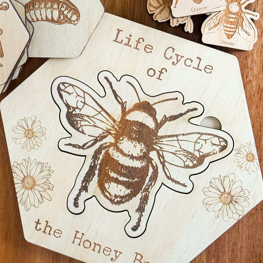 Bee Life Cycle Puzzle-Bandicute