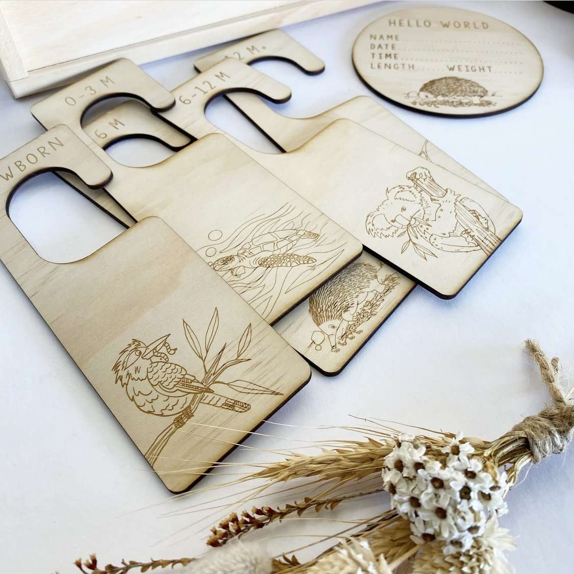 Wardrobe Divider-Bandicute