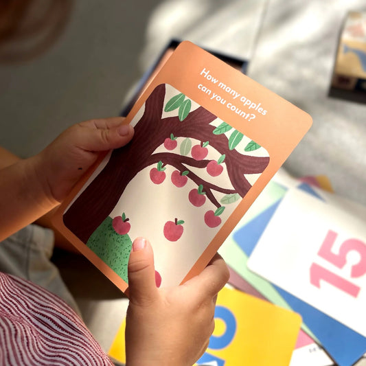 Number Flashcards-Bandicute