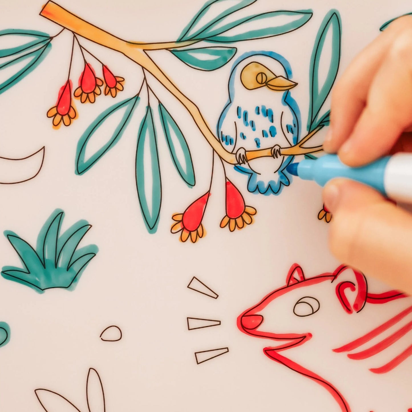 Reusable Scribble Mat - Australian Animals-Bandicute