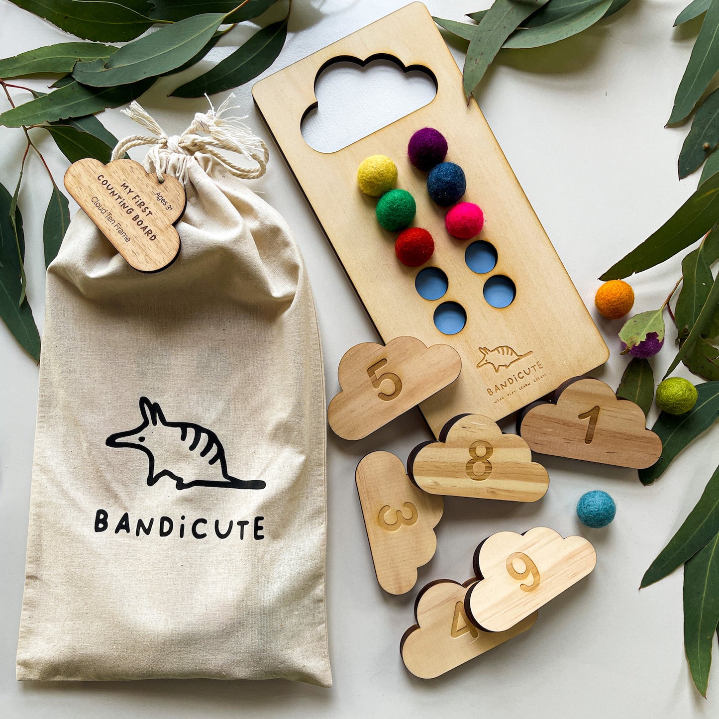 Ten Frame Counting Board-Bandicute