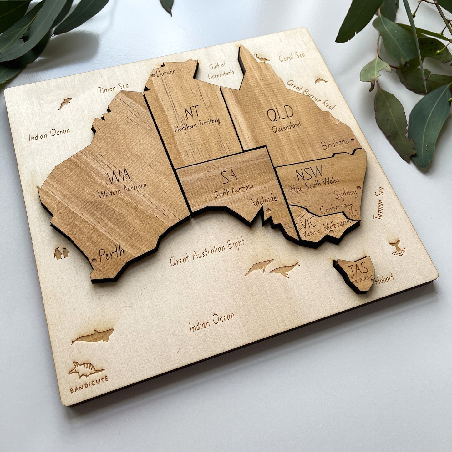 Wooden Australia Puzzle - Educational Map with Australian Animals-Bandicute