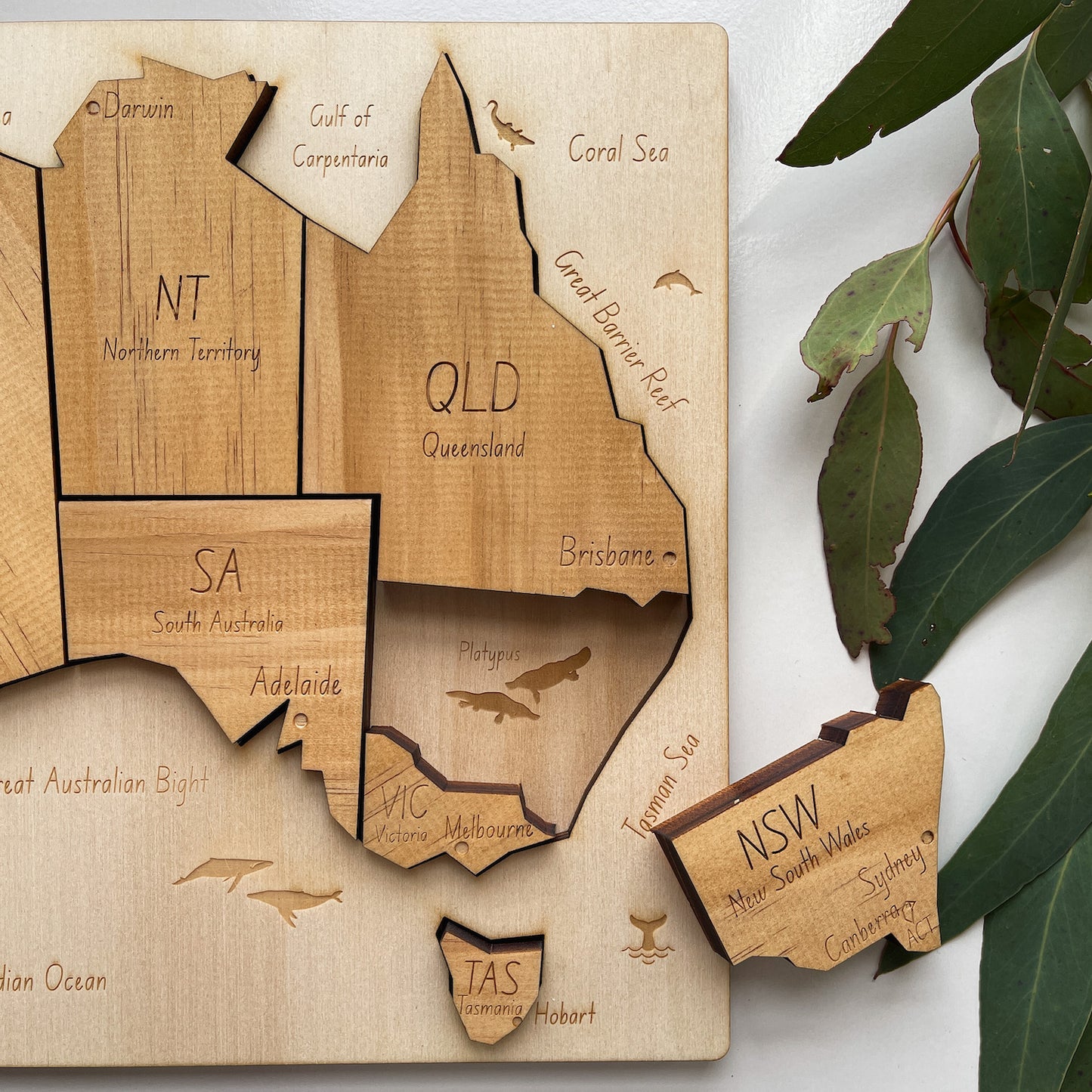 Wooden Australia Puzzle - Educational Map with Australian Animals-Bandicute