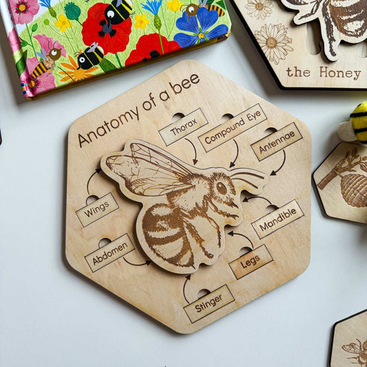 Anatomy of a Bee Puzzle-Bandicute