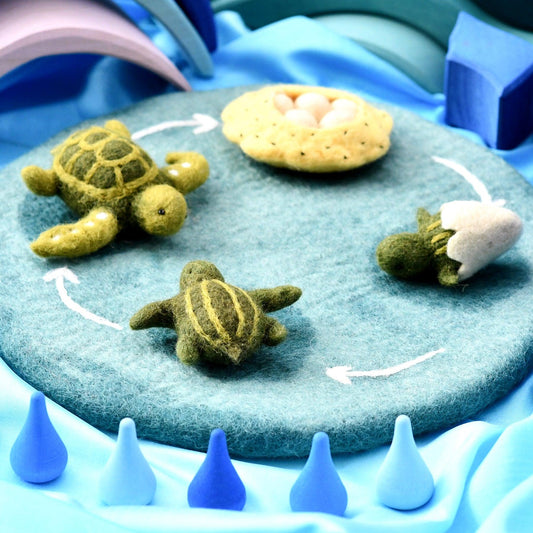 Felt Life Cycle Tray Playmat (Water)-Bandicute