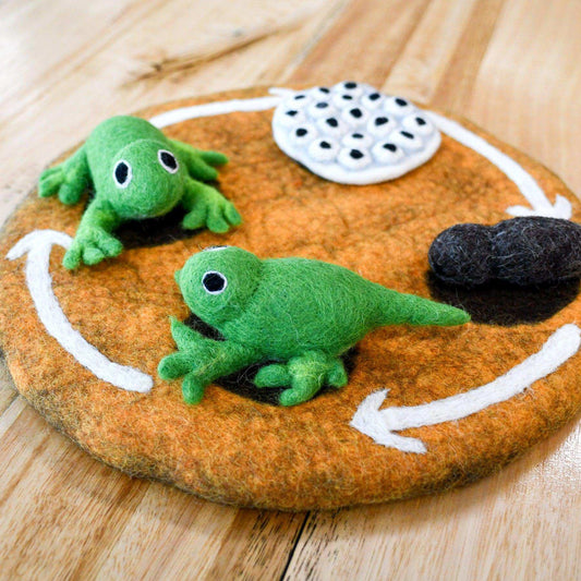 Felt Lifecycle of a Frog-Bandicute