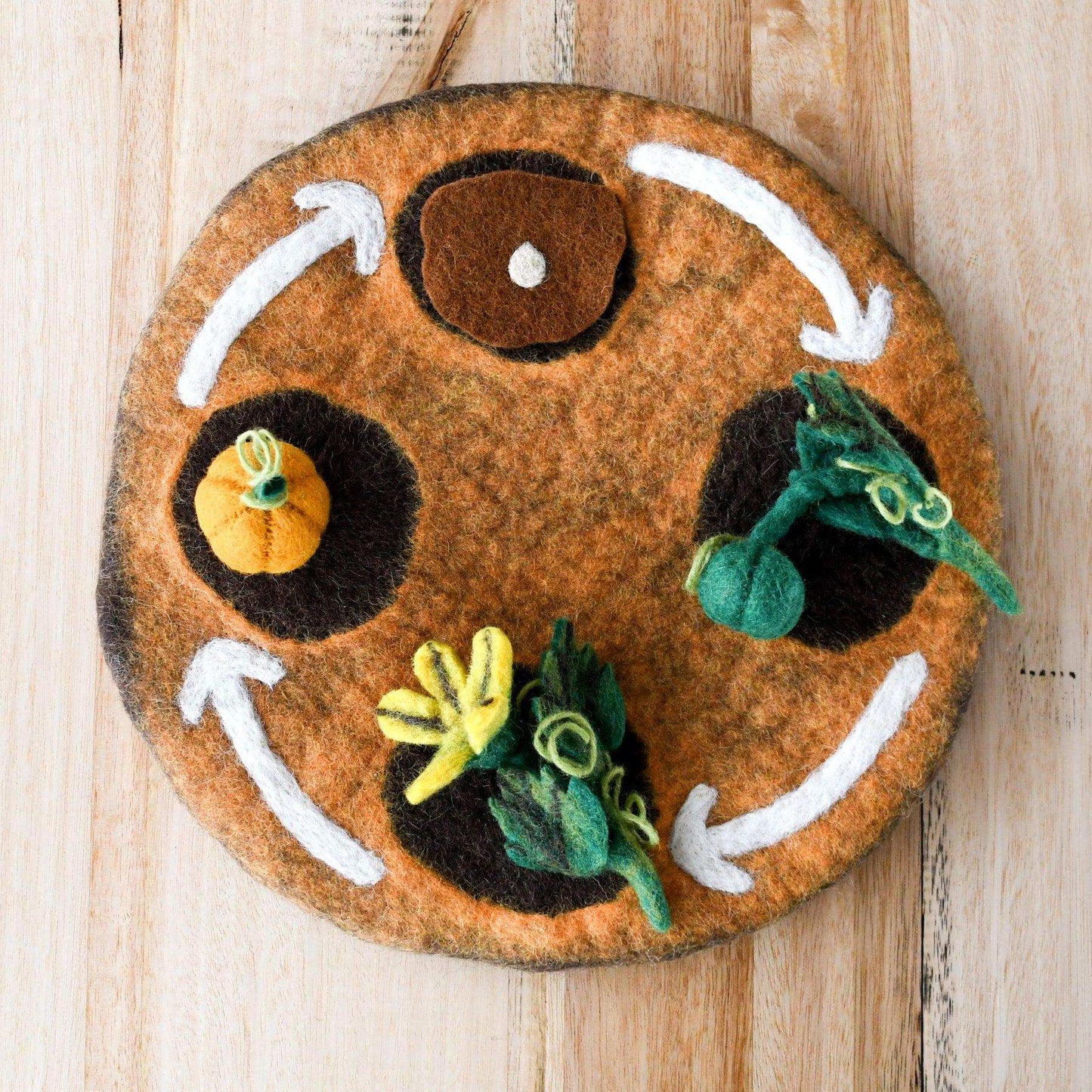 Felt Life Cycle Tray Playmat (Earth)-Bandicute