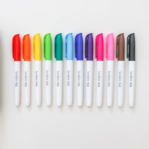 Felt Pencil Case with 12 Pens-Bandicute