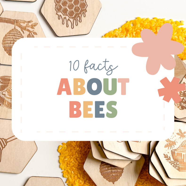 10 Facts About Bees You Need to Know! – Bandicute