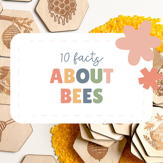 10 Facts About Bees You Need to Know!