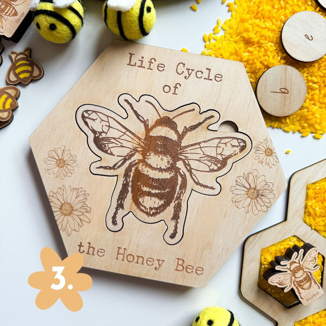Bee Education Mega Bundle – Bandicute