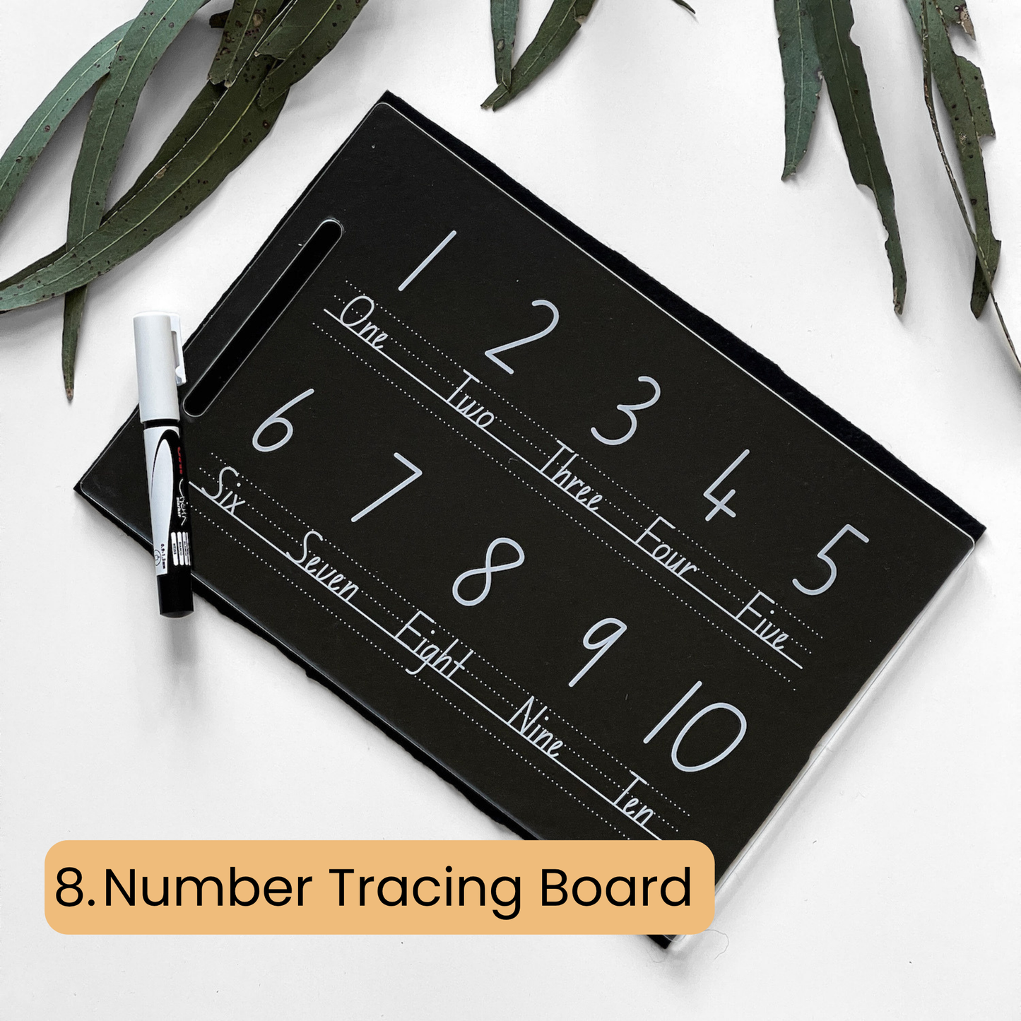 Mega Tracing Board Bundle Bandicute