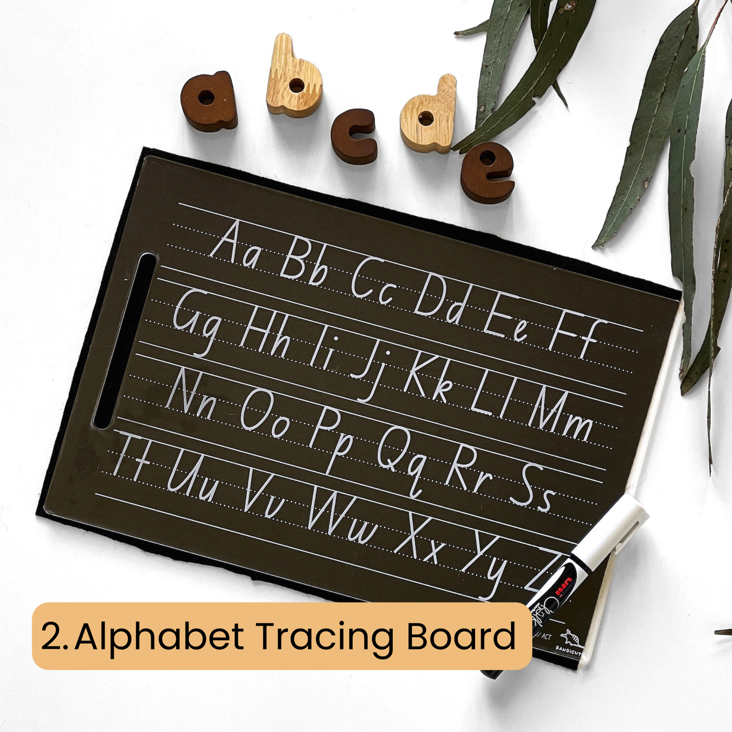 Mega Tracing Board Bundle Bandicute