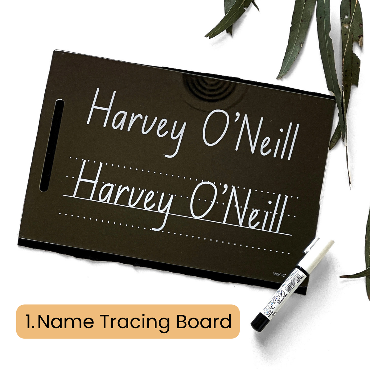 Mega Tracing Board Bundle Bandicute