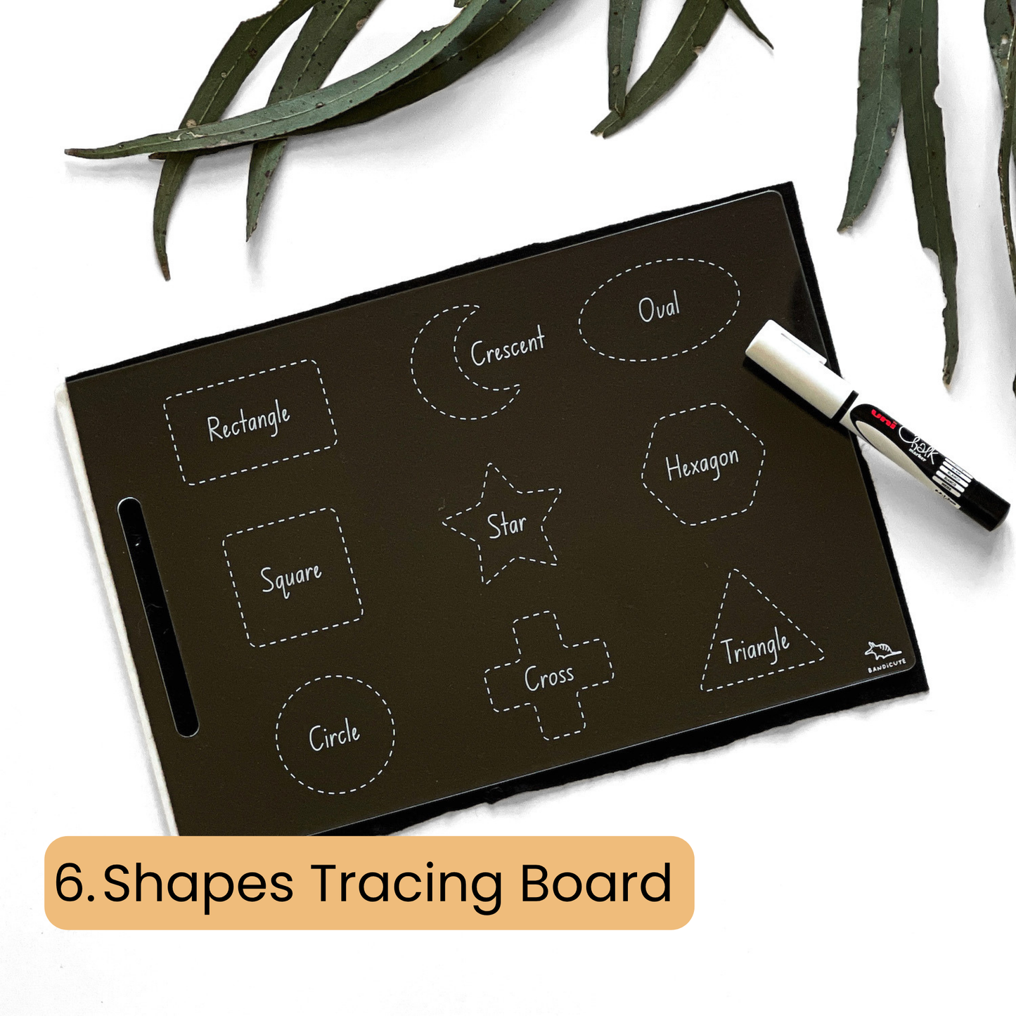 Mega Tracing Board Bundle Bandicute