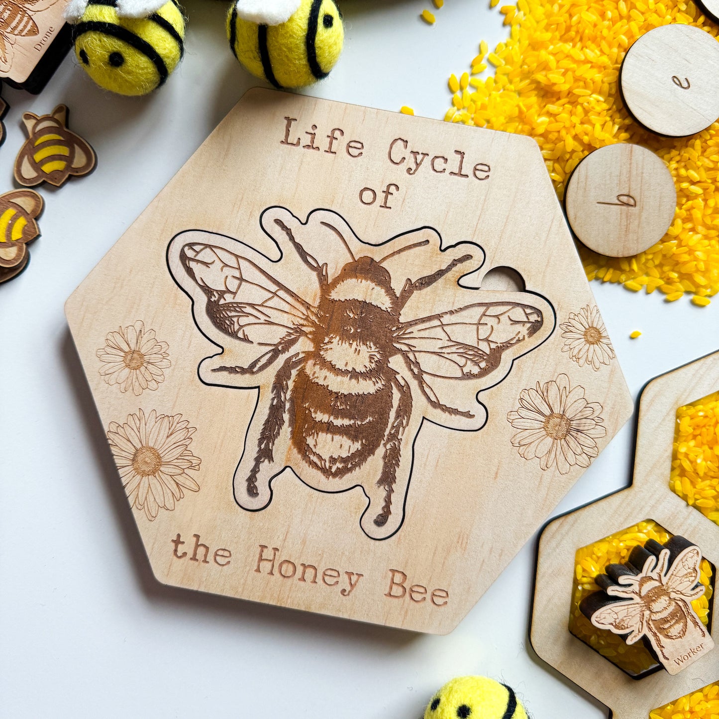 Bee Life Cycle Puzzle-Bandicute