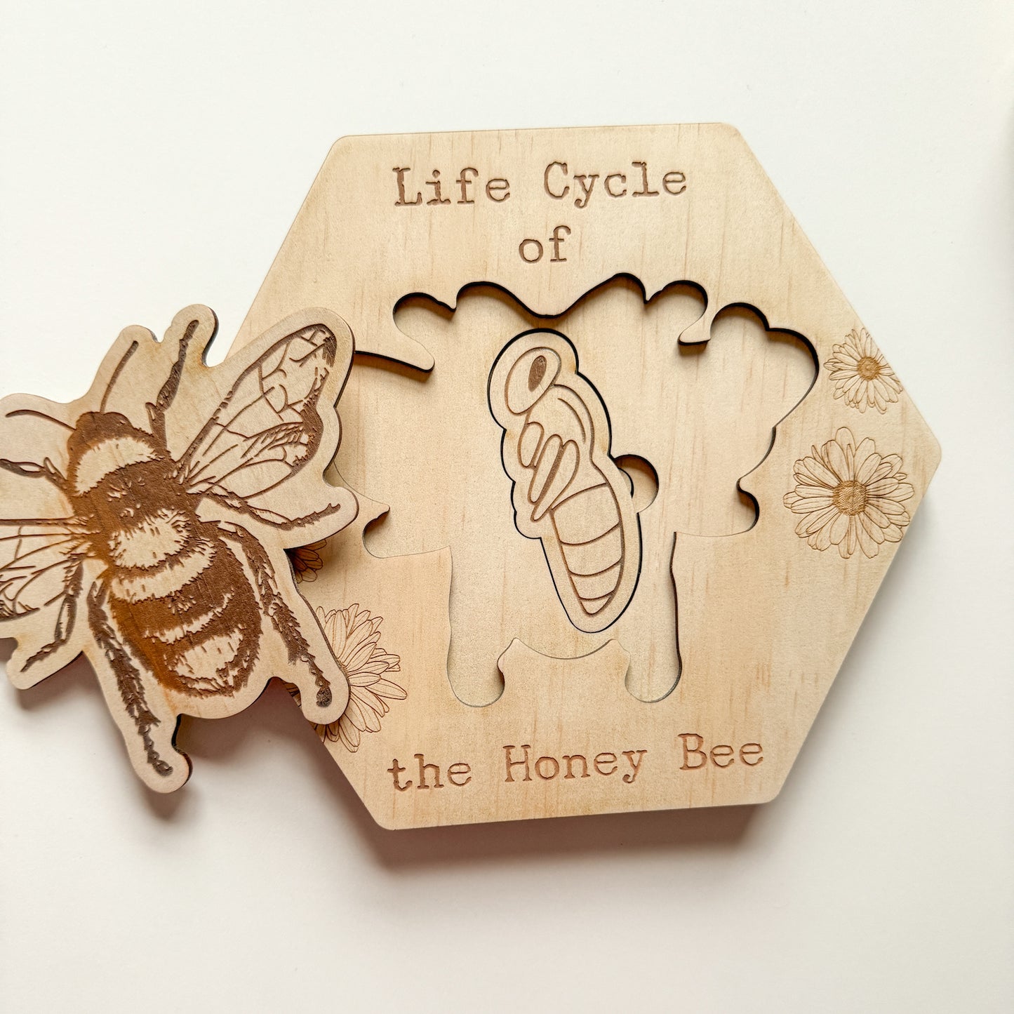 Bee Life Cycle Puzzle-Bandicute