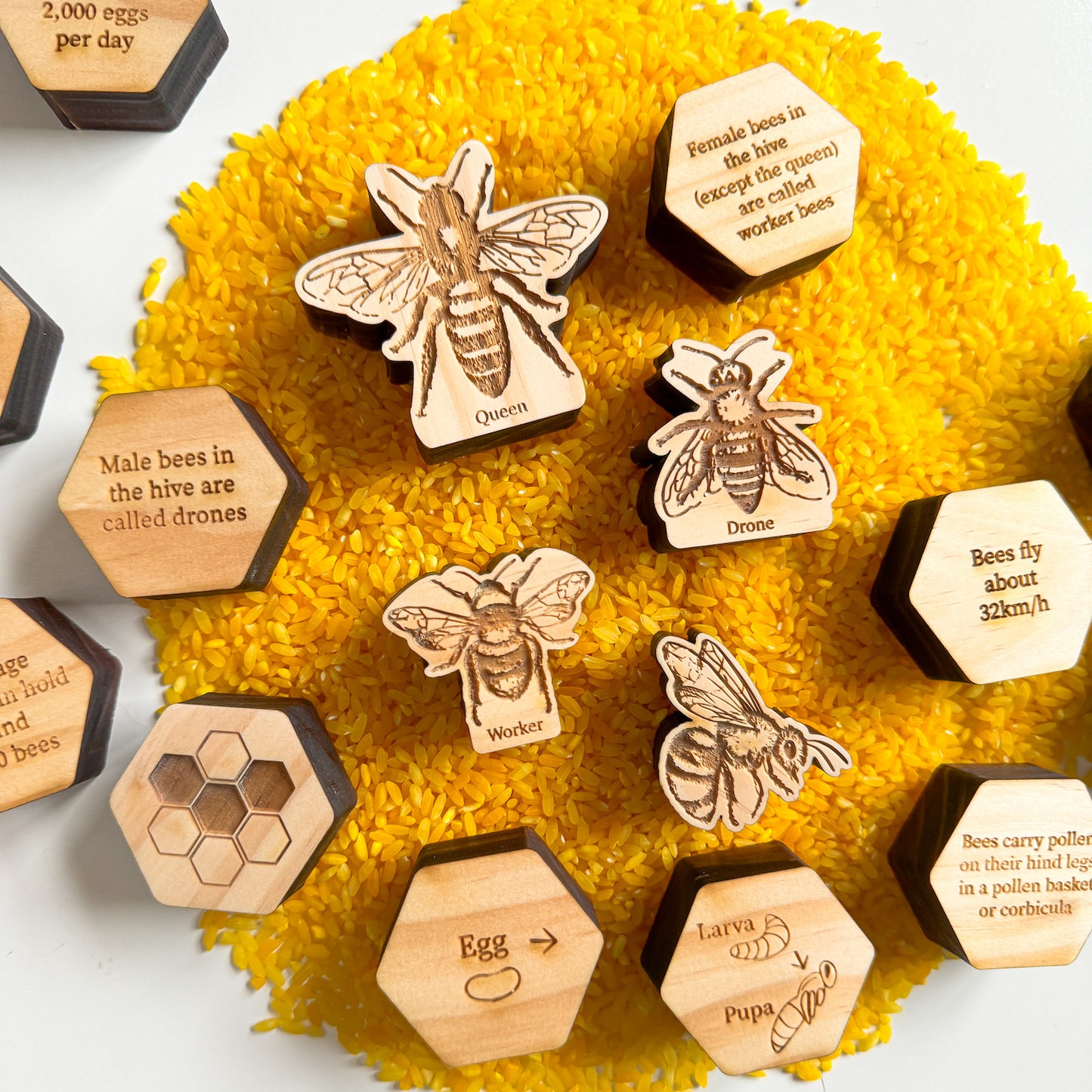 Bee Stacking Set-Bandicute