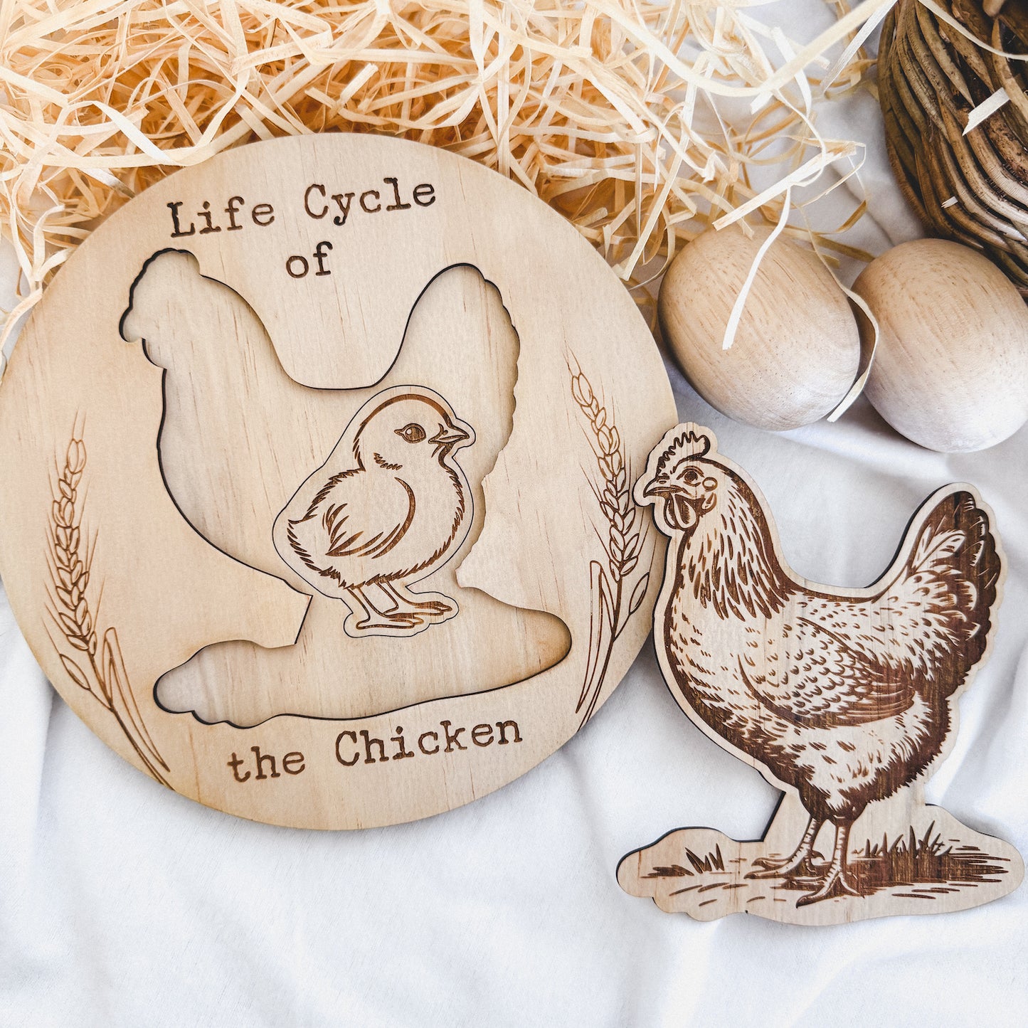 Chicken Life Cycle Puzzle-Bandicute