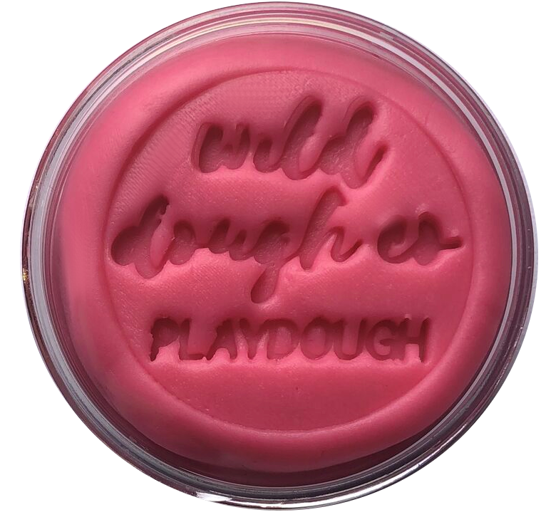 Wild Dough Playdough - 280g Jar-Bandicute