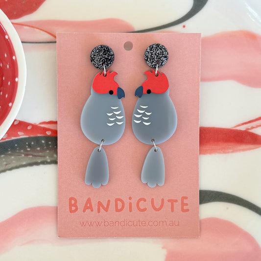 Gang Gang Cockatoo Earrings-Bandicute