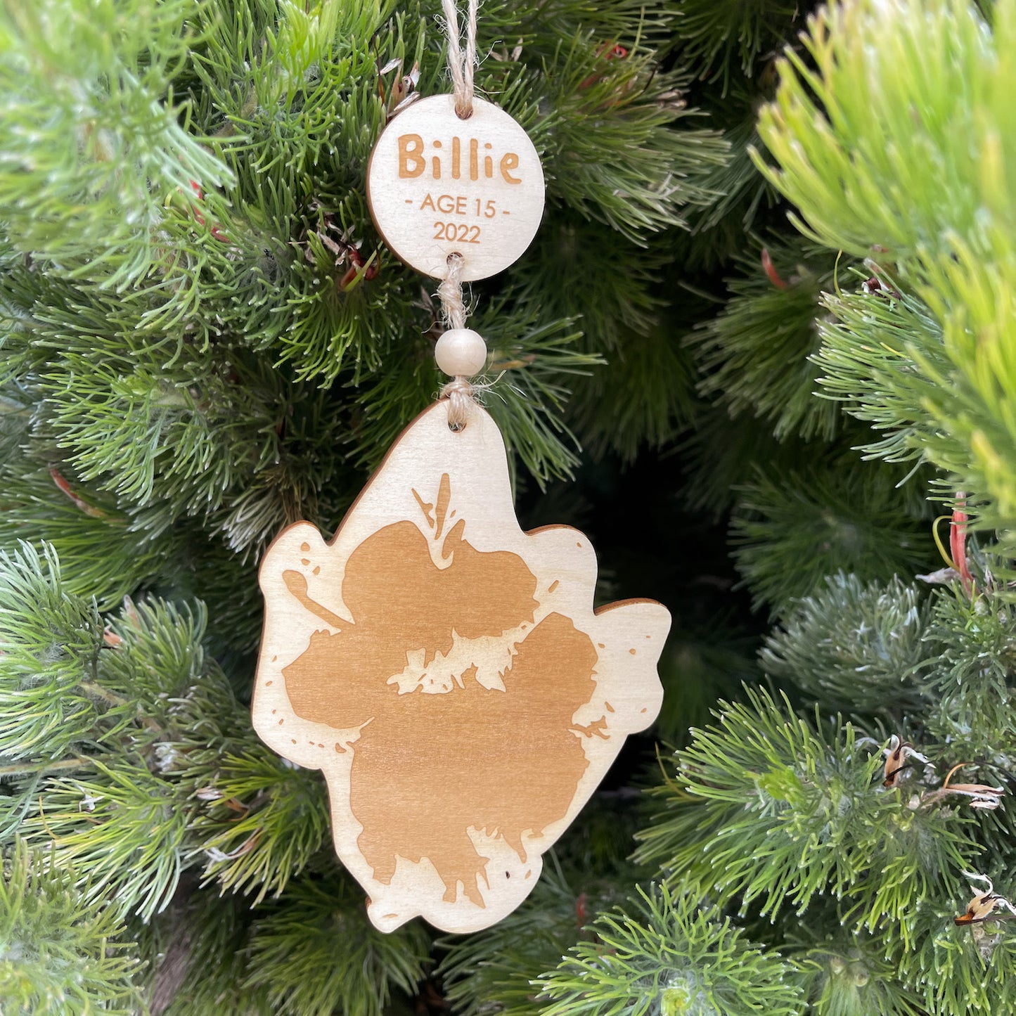 Pet Paw Print Christmas Ornament