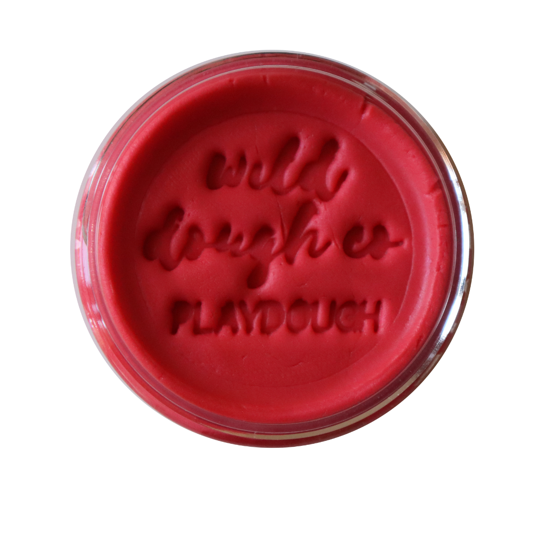 Wild Dough Playdough - 280g Jar-Bandicute