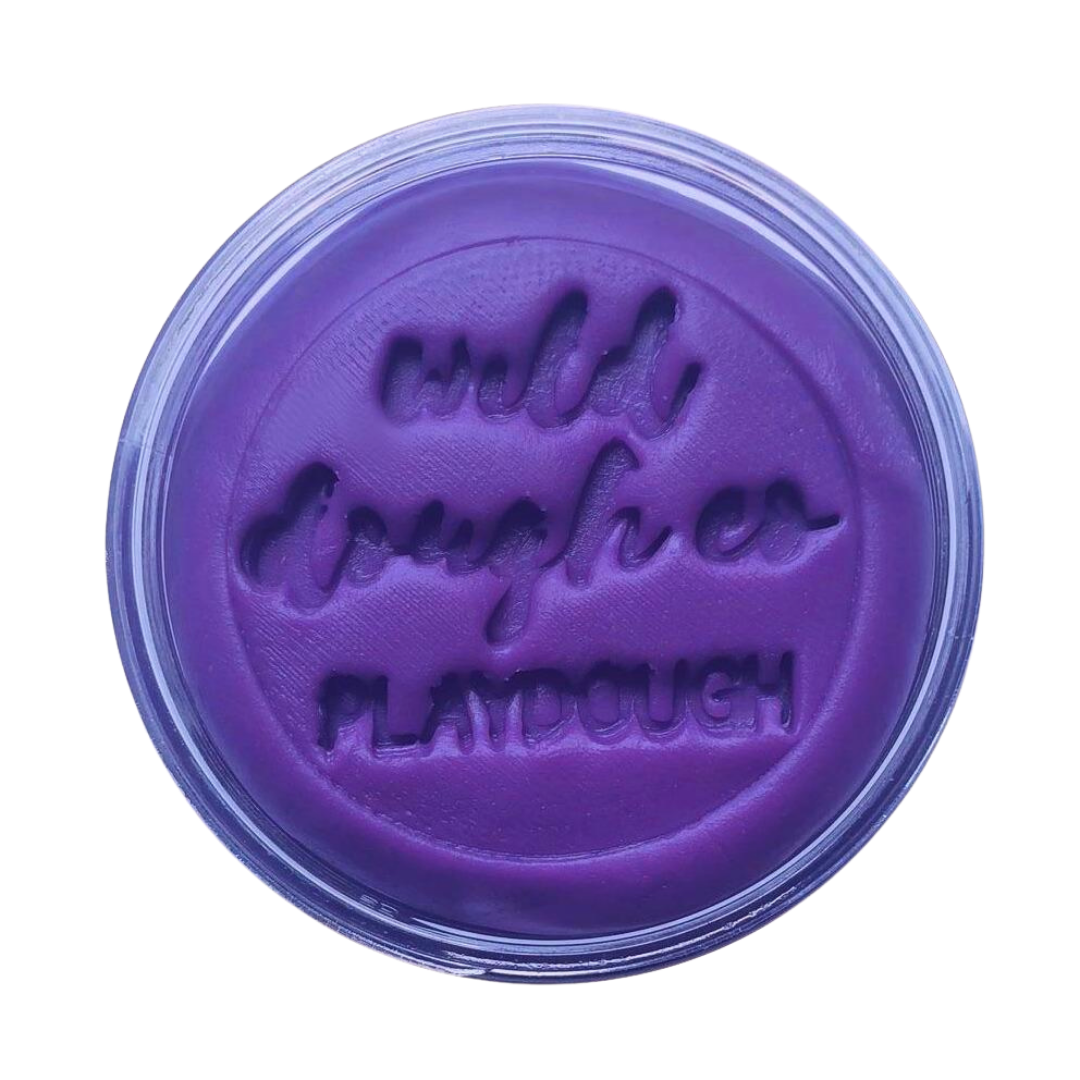 Wild Dough Playdough - 280g Jar-Bandicute