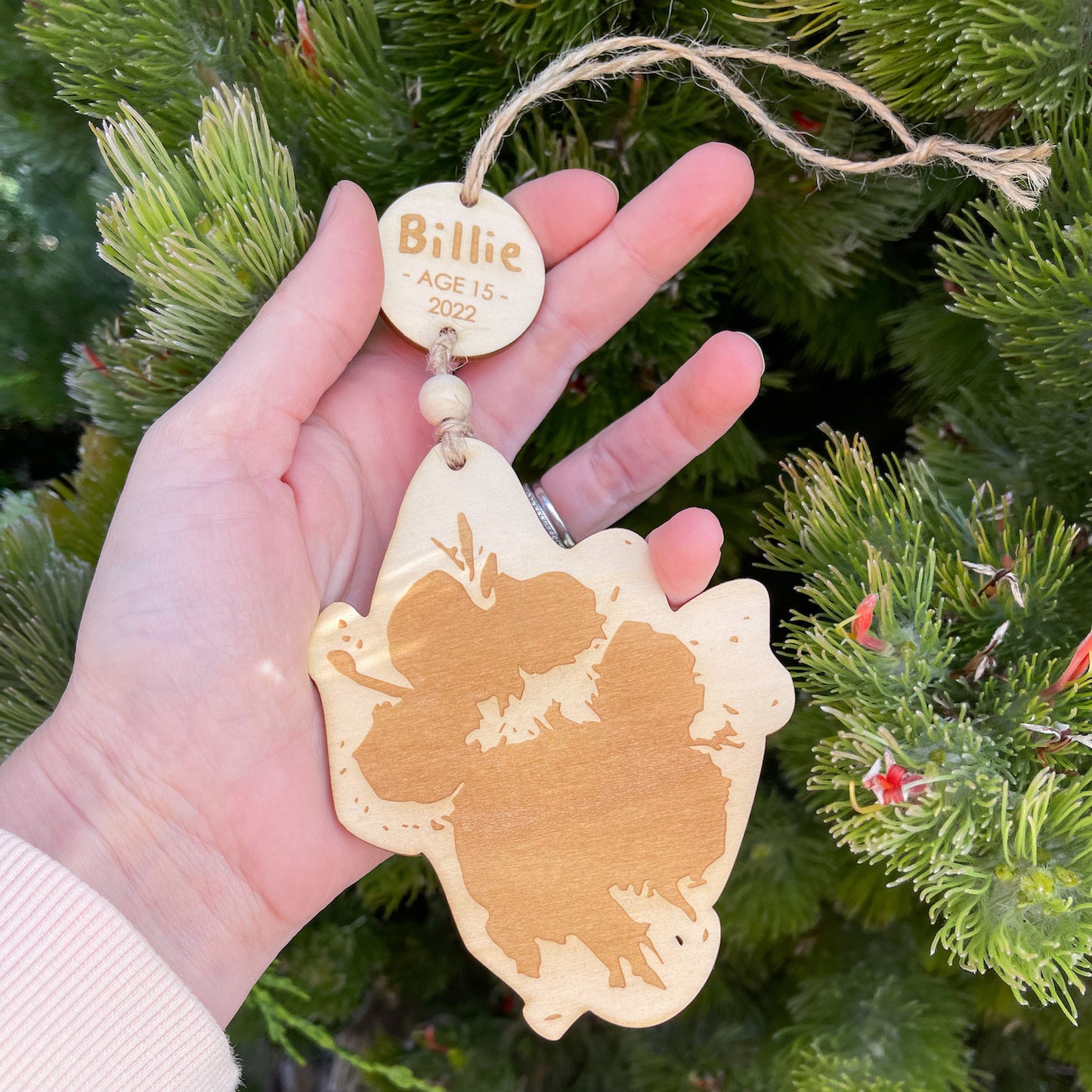 Pet Paw Print Christmas Ornament