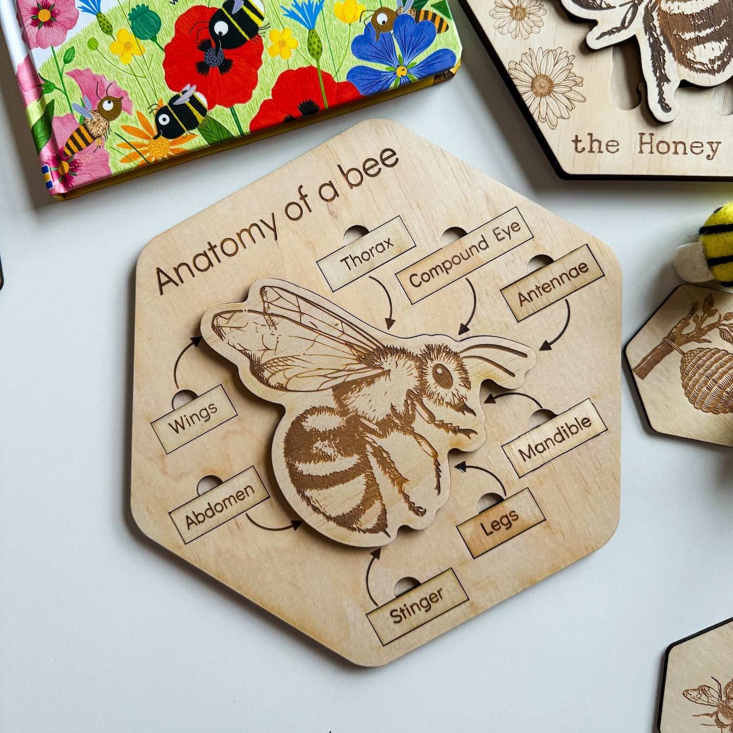 Anatomy of a Bee Puzzle-Bandicute