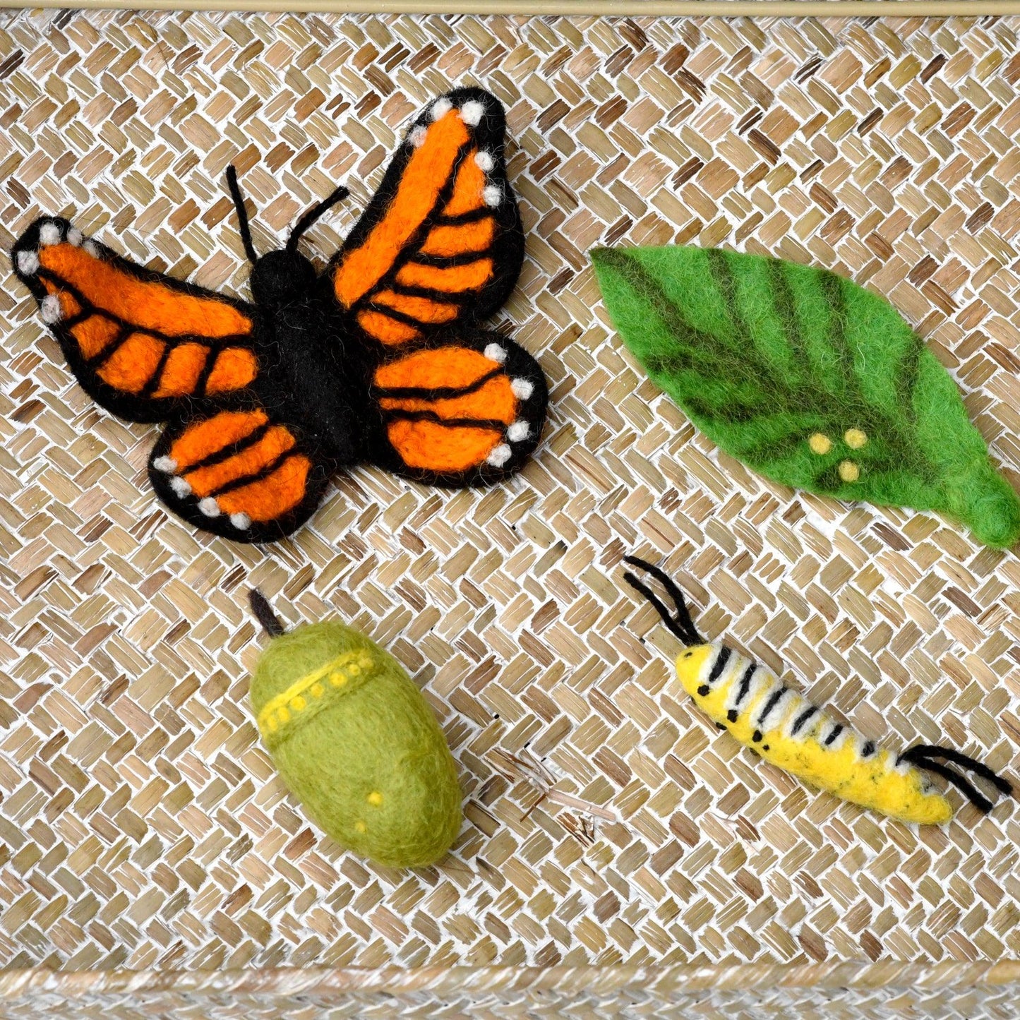 Felt Lifecycle of Monarch Butterfly-Bandicute