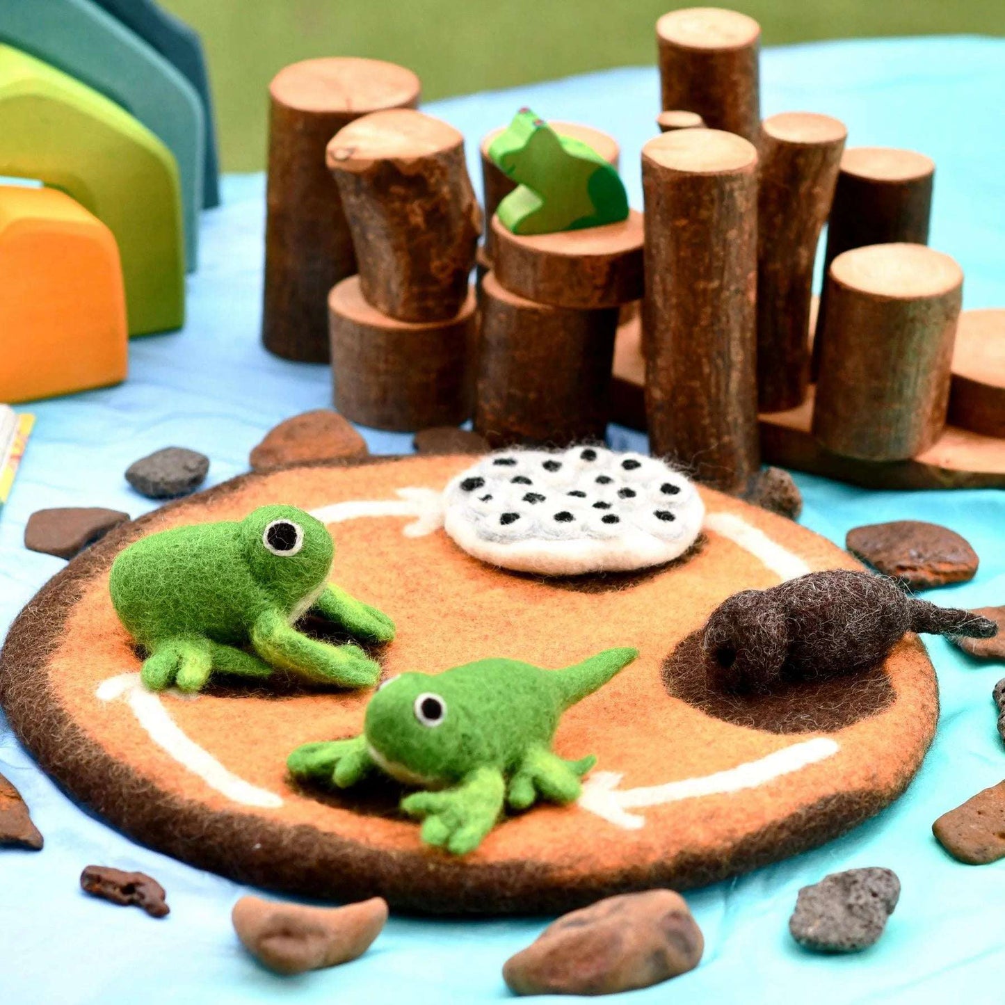 Felt Lifecycle of a Frog-Bandicute