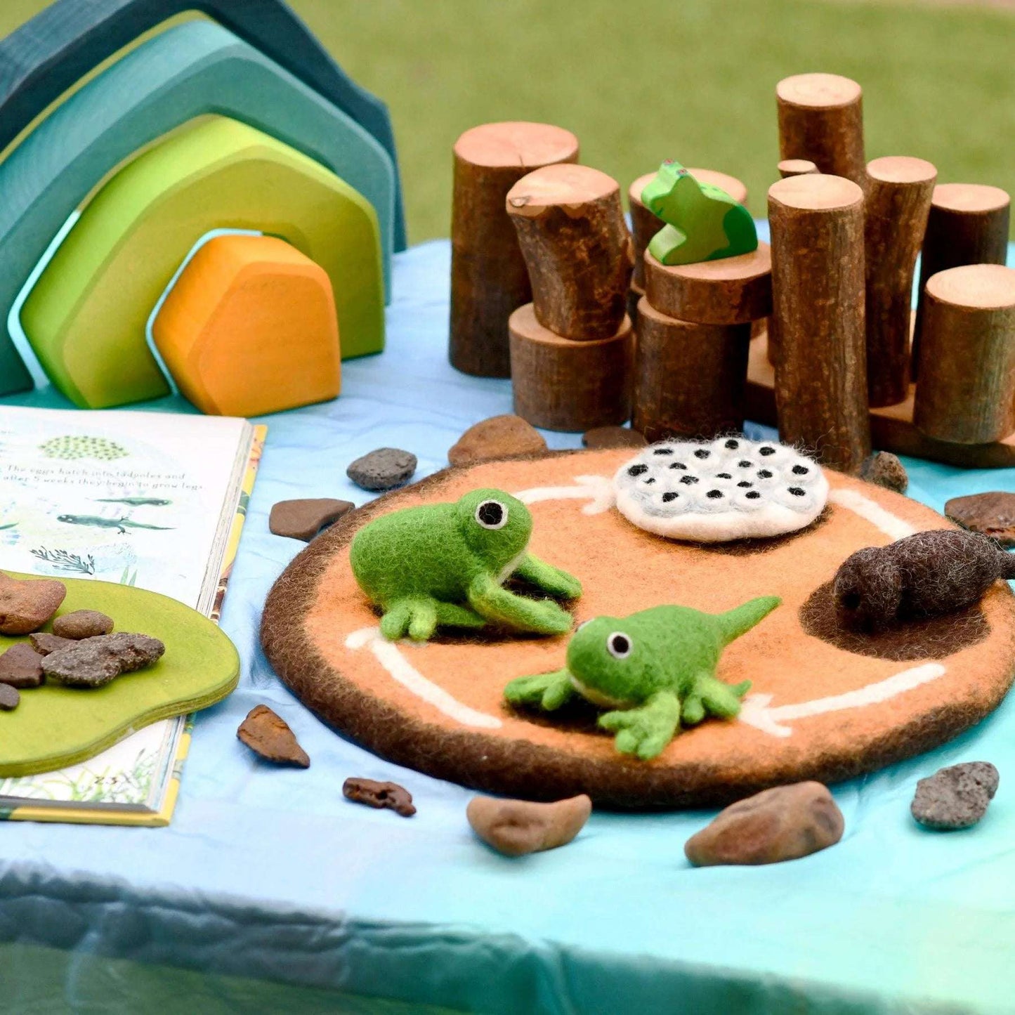 Felt Lifecycle of a Frog-Bandicute