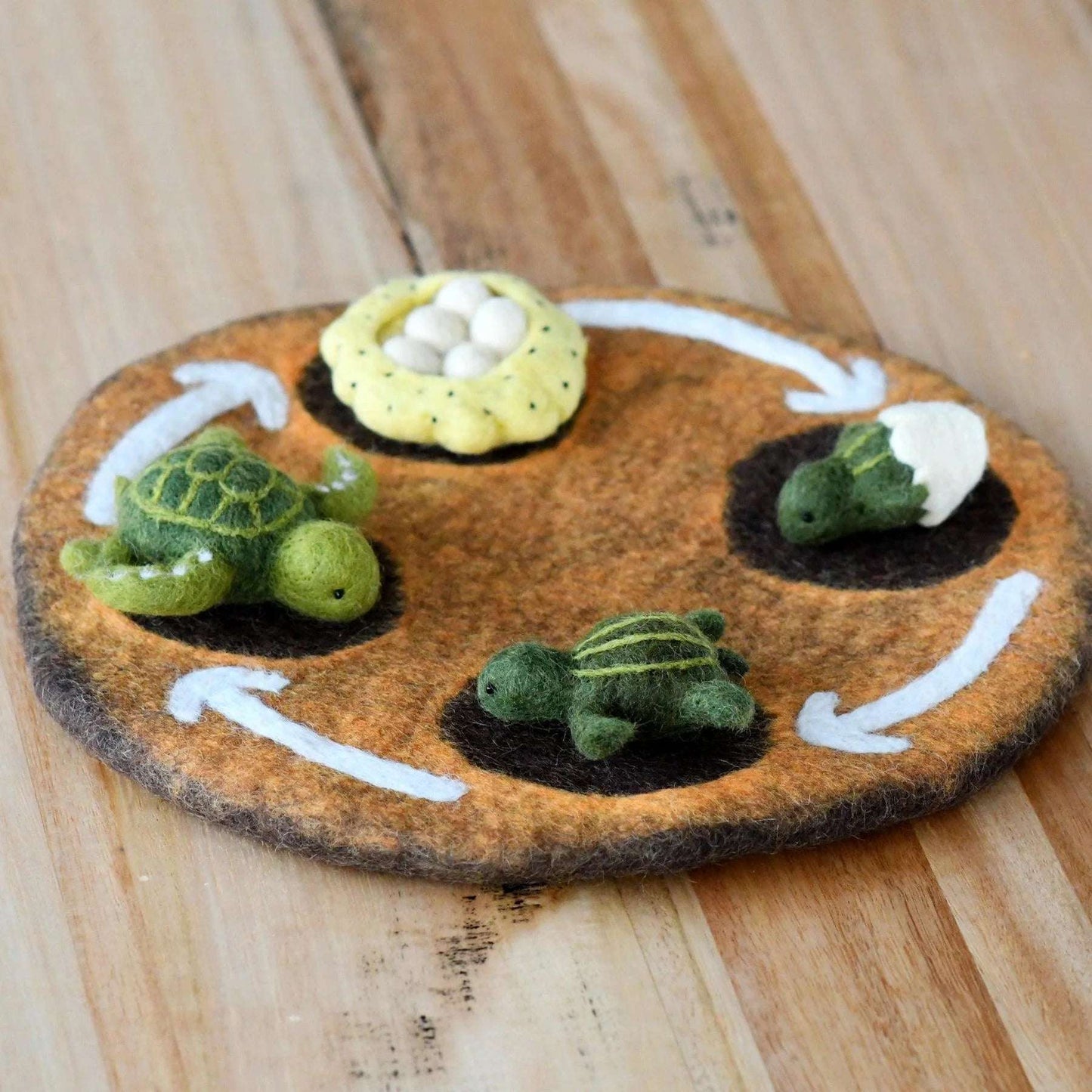 Felt Life Cycle Tray Playmat (Earth)-Bandicute